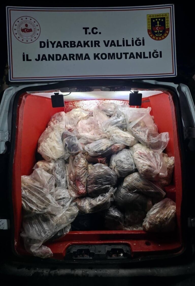 diyarbakir-cinarda-jandarma-yaklasik-820-kg-sagliksiz-hayvansal-urun-ele-gecirdi-gQnELPDl
