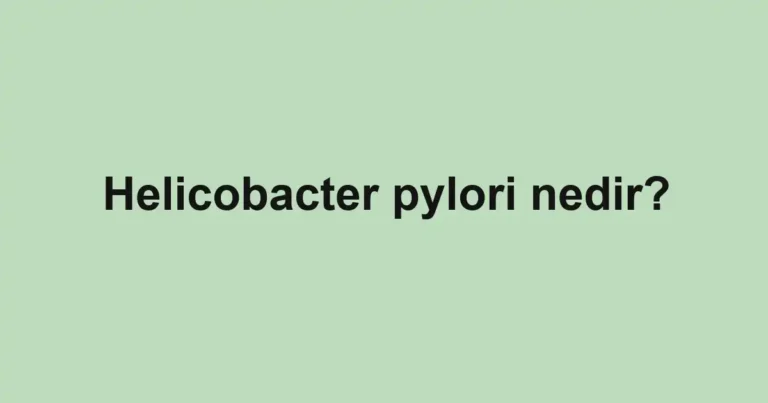 helicobacter-pylori-nedir