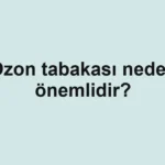 ozon-tabakasi-neden-onemlidir