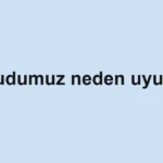 vucudumuz-neden-uyusur